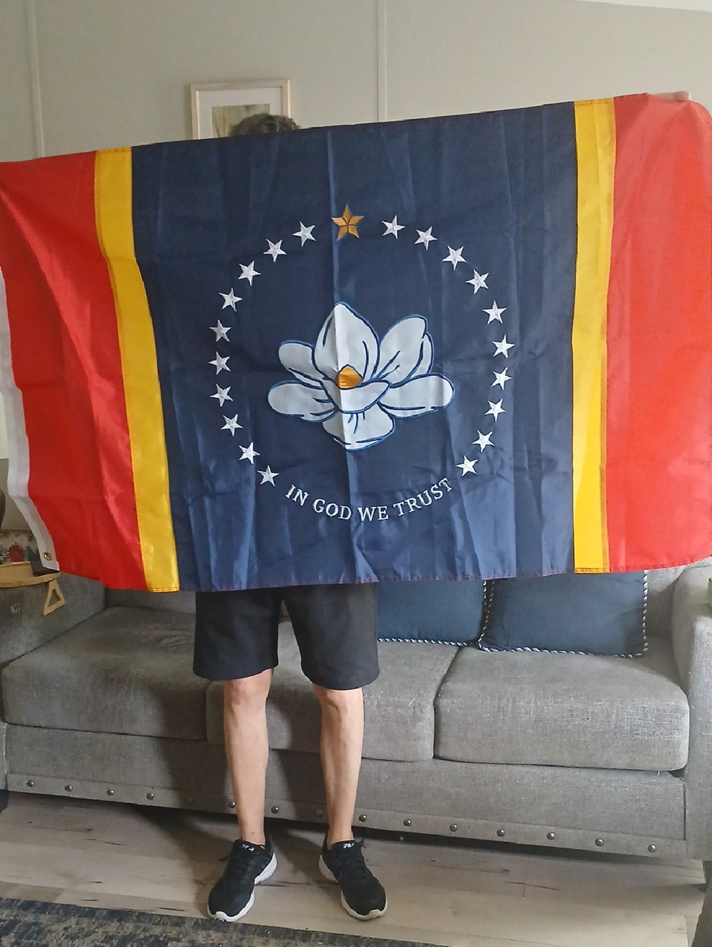 Mississippi State Flag Banner - Navy, Red & Gold
